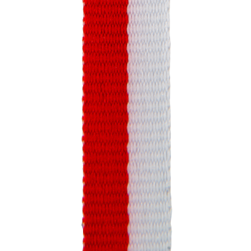 G.V8.RO-WI