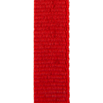 G.V8.RO