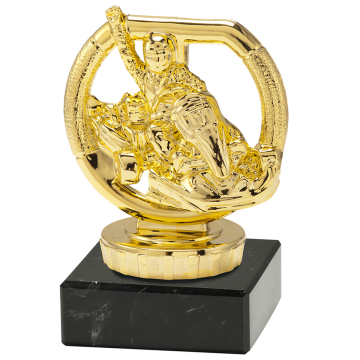 sport trophy h100 karting