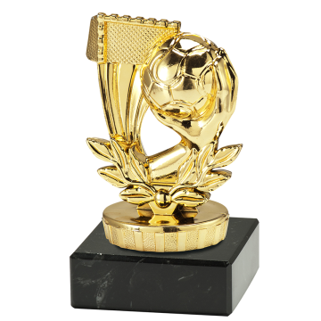 sport trophy h100 handball