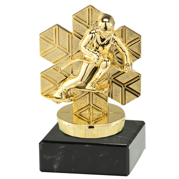 sport trophy h100 skiing