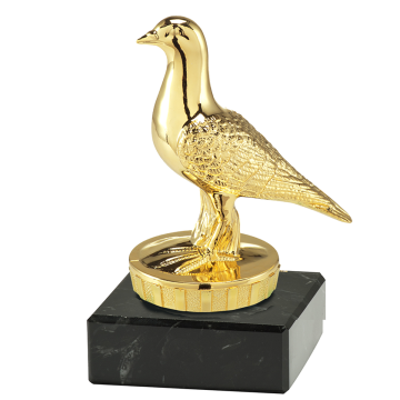 sport trophy h100 pigeon