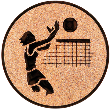 centre alu. d50 t0,5 volleyball