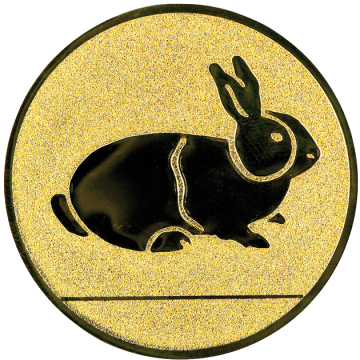 centre alu. d50 t0,5 rabbit